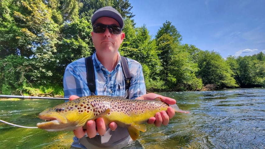 nice Brown trout.